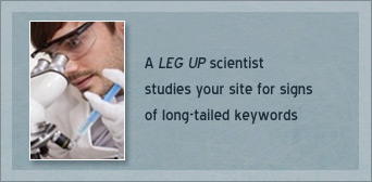 escort seo - keyword analysis